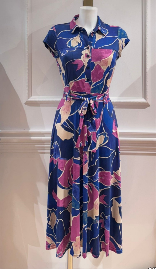 Sari dress